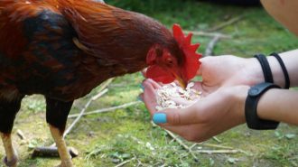 Ausflug Kinder- und Jugendfarm 5 Schule für Kranke Regensburg